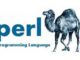 Perl Logo