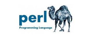 Perl Logo